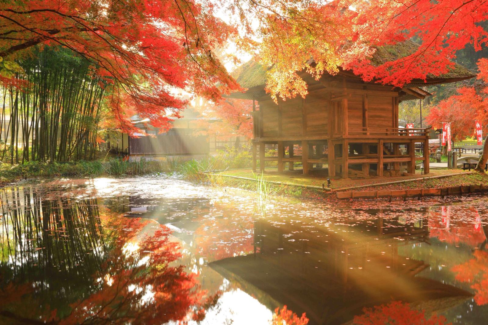 Japanese Fair: Tohoku Fair 2026